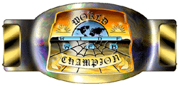 Championship Belts Award